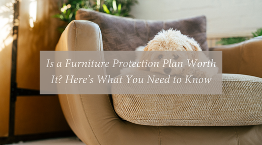 Is a Furniture Protection Plan Worth It? Here’s What You Need to Know
